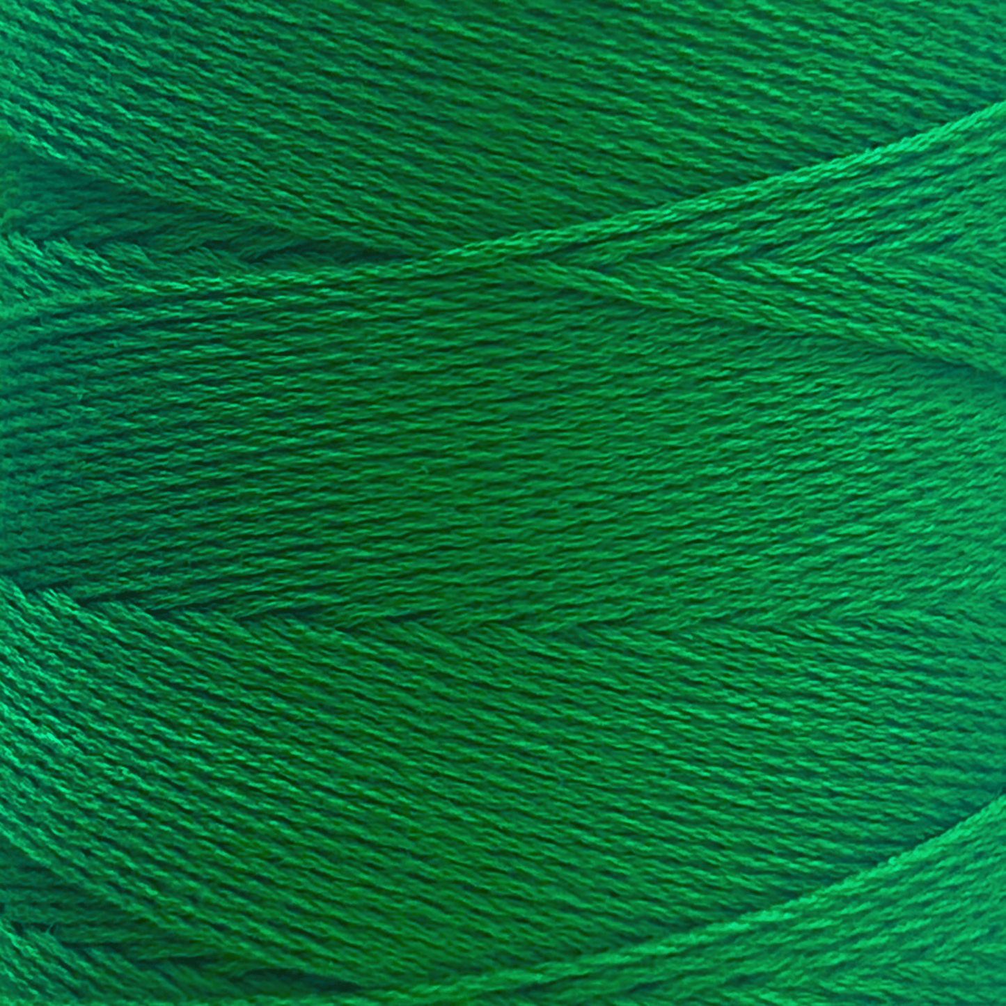 Chaine Trame - 100% Tencel Lyocell Yarn Cone | 100g in 56 Dark Spring Green ()
