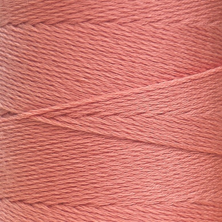 Chaine Trame - 100% Tencel Lyocell Yarn Cone | 100g in 11 Dark Salmon ()