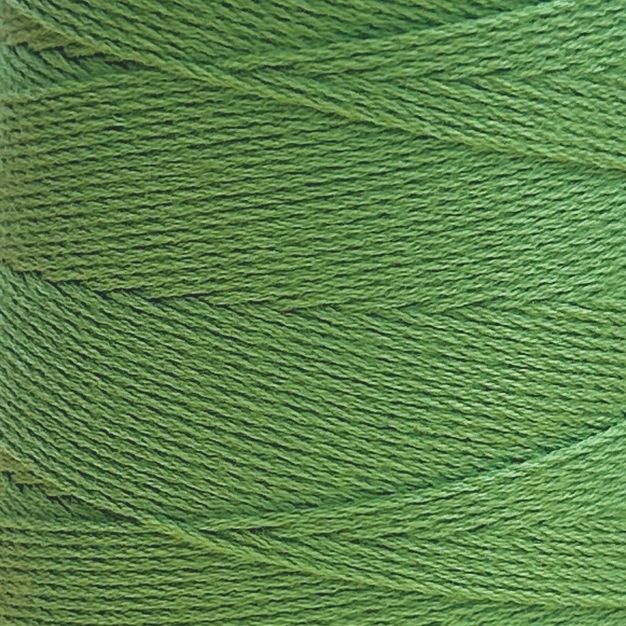 Chaine Trame - 100% Tencel Lyocell Yarn Cone | 100g in 123 Avocado ()