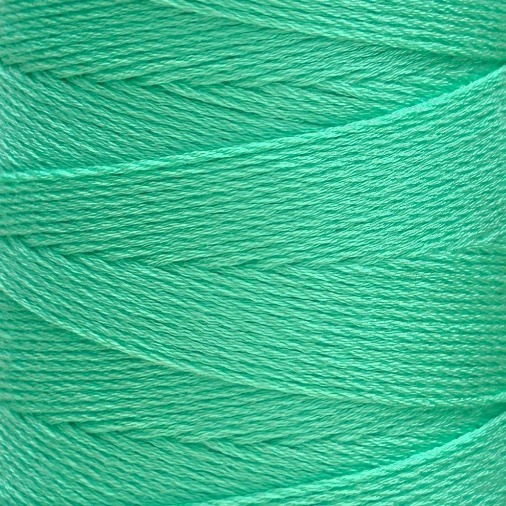 Chaine Trame - 100% Tencel Lyocell Yarn Cone | 100g in 19 Turquoise ()