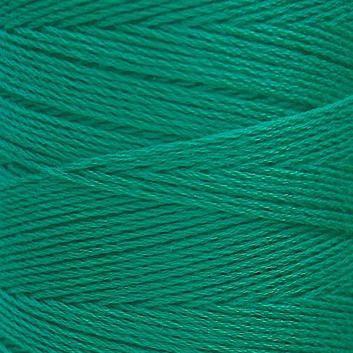 Chaine Trame - 100% Tencel Lyocell Yarn Cone | 100g in 47 Persian Green ()