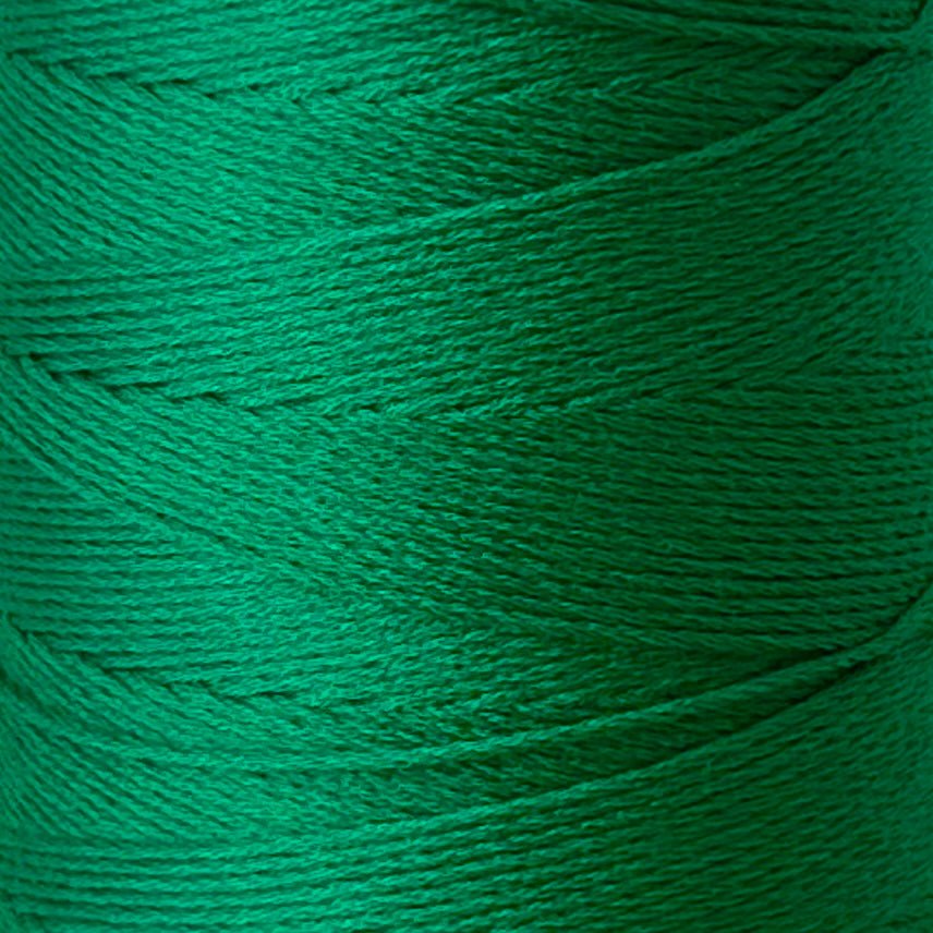 Chaine Trame - 100% Tencel Lyocell Yarn Cone | 100g in 56 Dark Spring Green ()