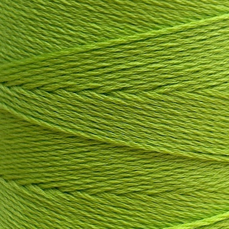 Chaine Trame - 100% Tencel Lyocell Yarn Cone | 100g in 20 Apple Green ()