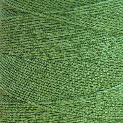 Chaine Trame - 100% Tencel Lyocell Yarn Cone | 100g in 123 Avocado ()