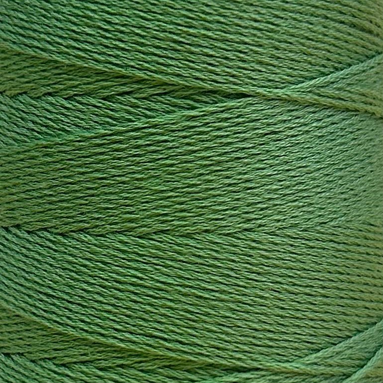 Chaine Trame - 100% Tencel Lyocell Yarn Cone | 100g in 123 Avocado ()